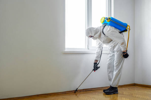 Best Pest Prevention Services  in Saranac, MI